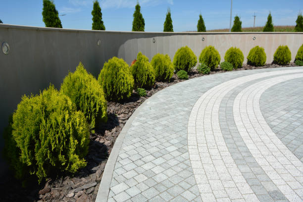 Professional Driveway Pavers in Lake Waccamaw, NC