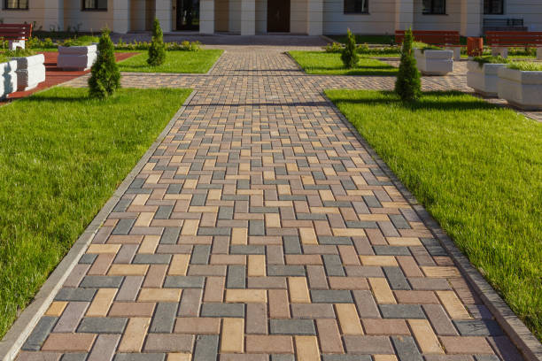 Best Driveway Paving Contractor  in Lake Waccamaw, NC